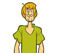 Shaggy from Scooby Doo, wearing a green shirt looking directly forwards.